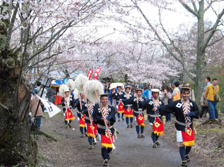 오카 성 벚꽃 축제